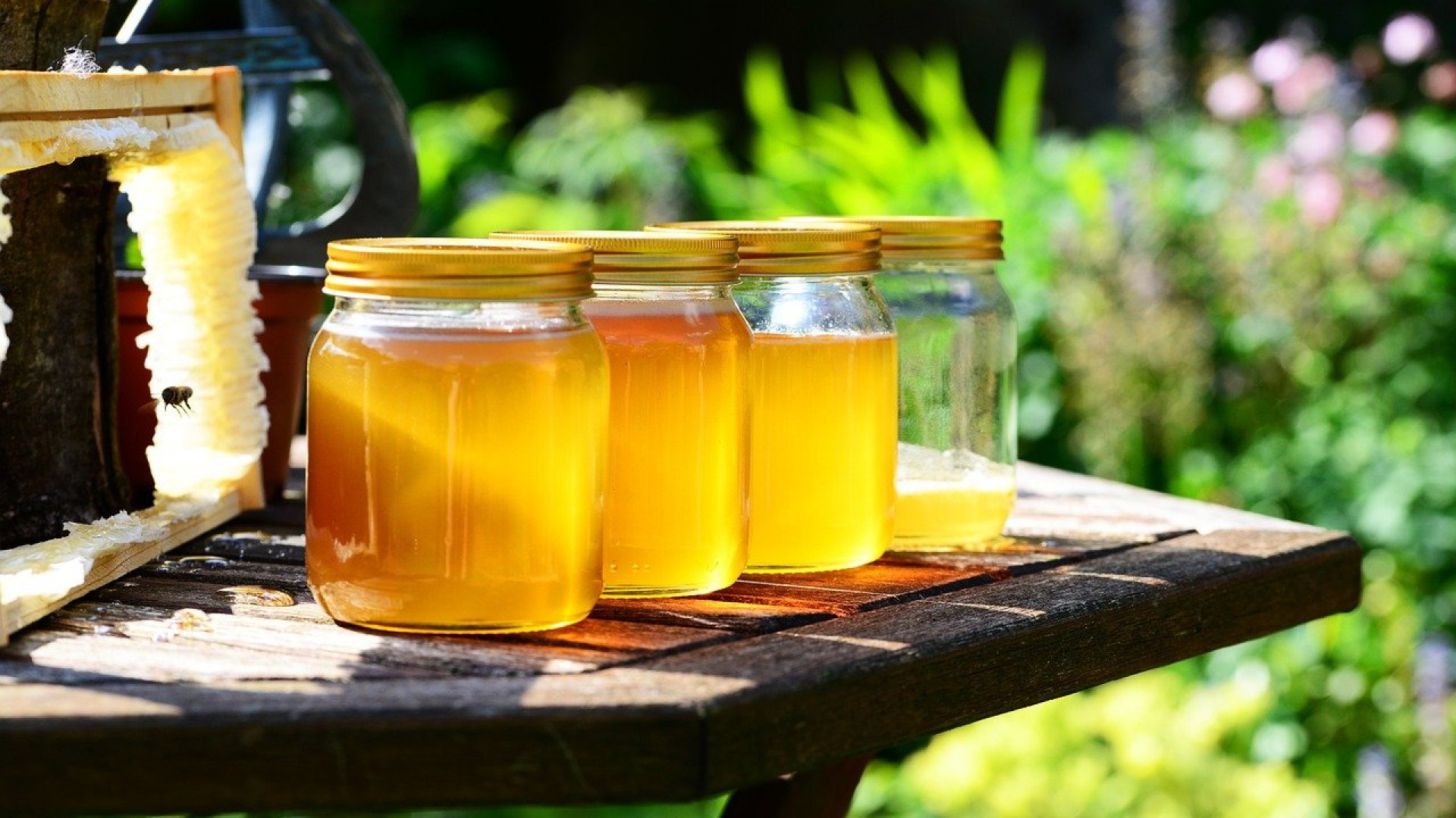 Pourquoi un pot de miel pour votre maison