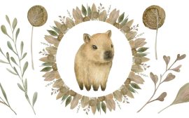 Capybara style : comment adopter des vêtements inspirés de ce rongeur mignon ?